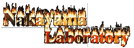 NakLab logo